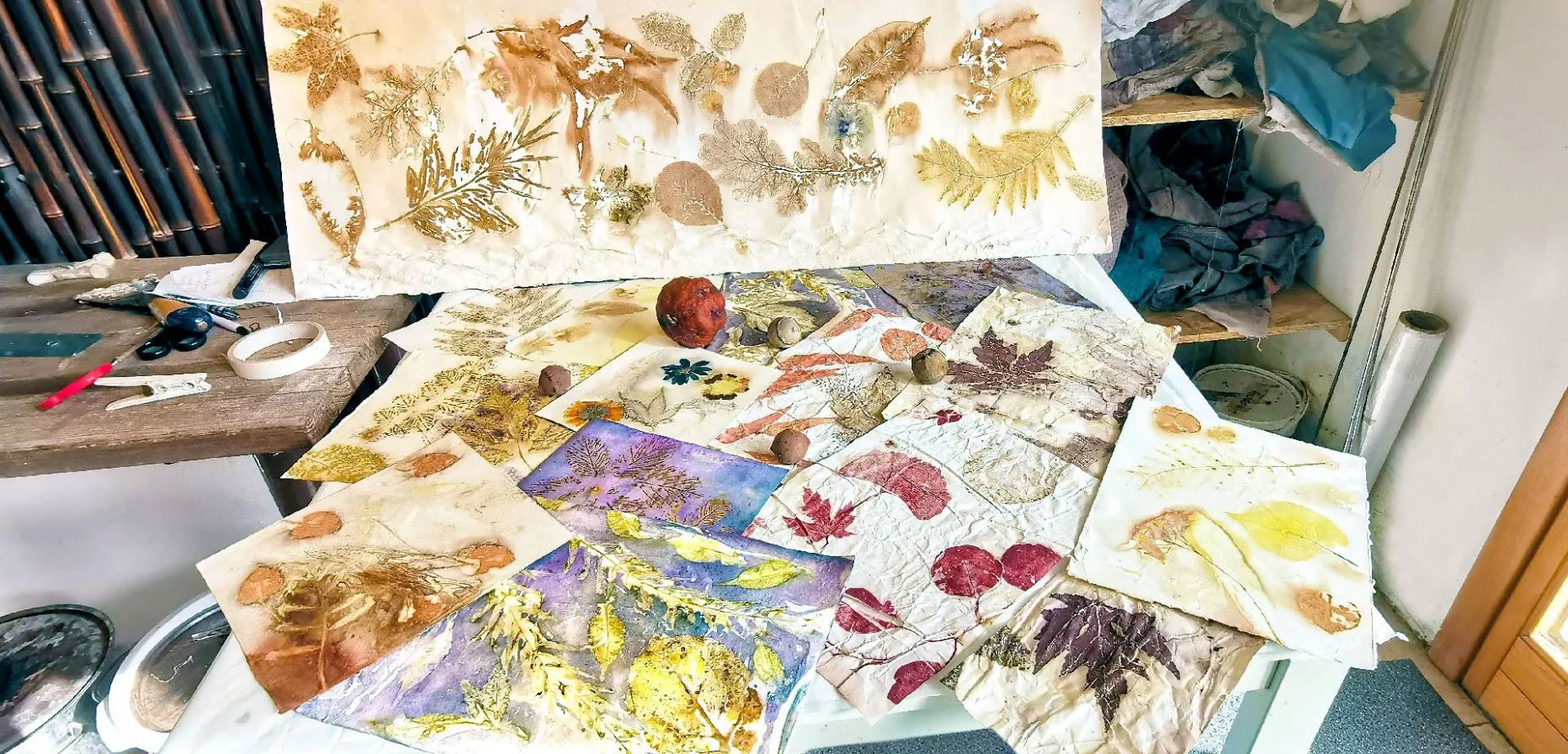 Eco printing su carta Ecodruk op papier