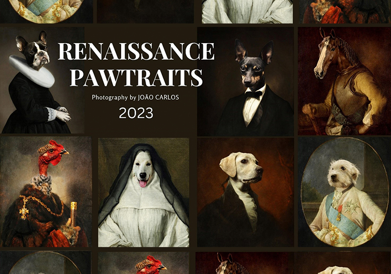 #Printstories: Joao Carlos e i calendari con gli amici a 4 zampe